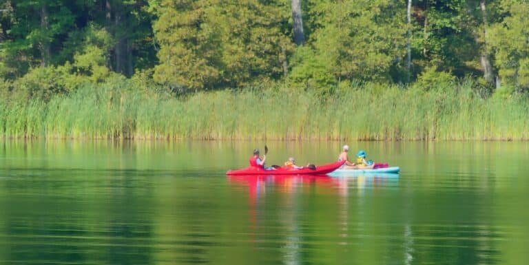 découvrez l'excitation du kayak en pleine nature ! que vous soyez débutant ou kayakiste expérimenté, explorez les rivières et les lacs tout en profitant d'un moment inoubliable au bord de l'eau. préparez-vous à pagayer et à vivre des aventures aquatiques incroyables.