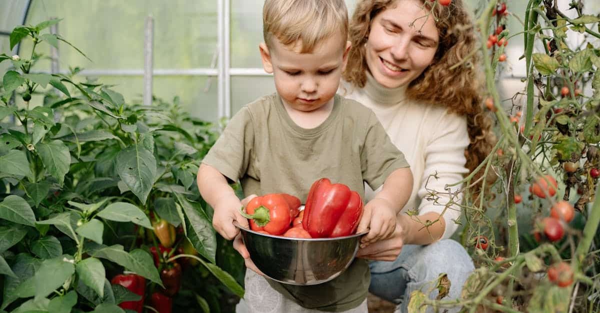 découvrez l'éducation parentale : des conseils et ressources pour accompagner les parents dans leur rôle éducatif, favoriser le développement harmonieux de leurs enfants et renforcer les liens familiaux.