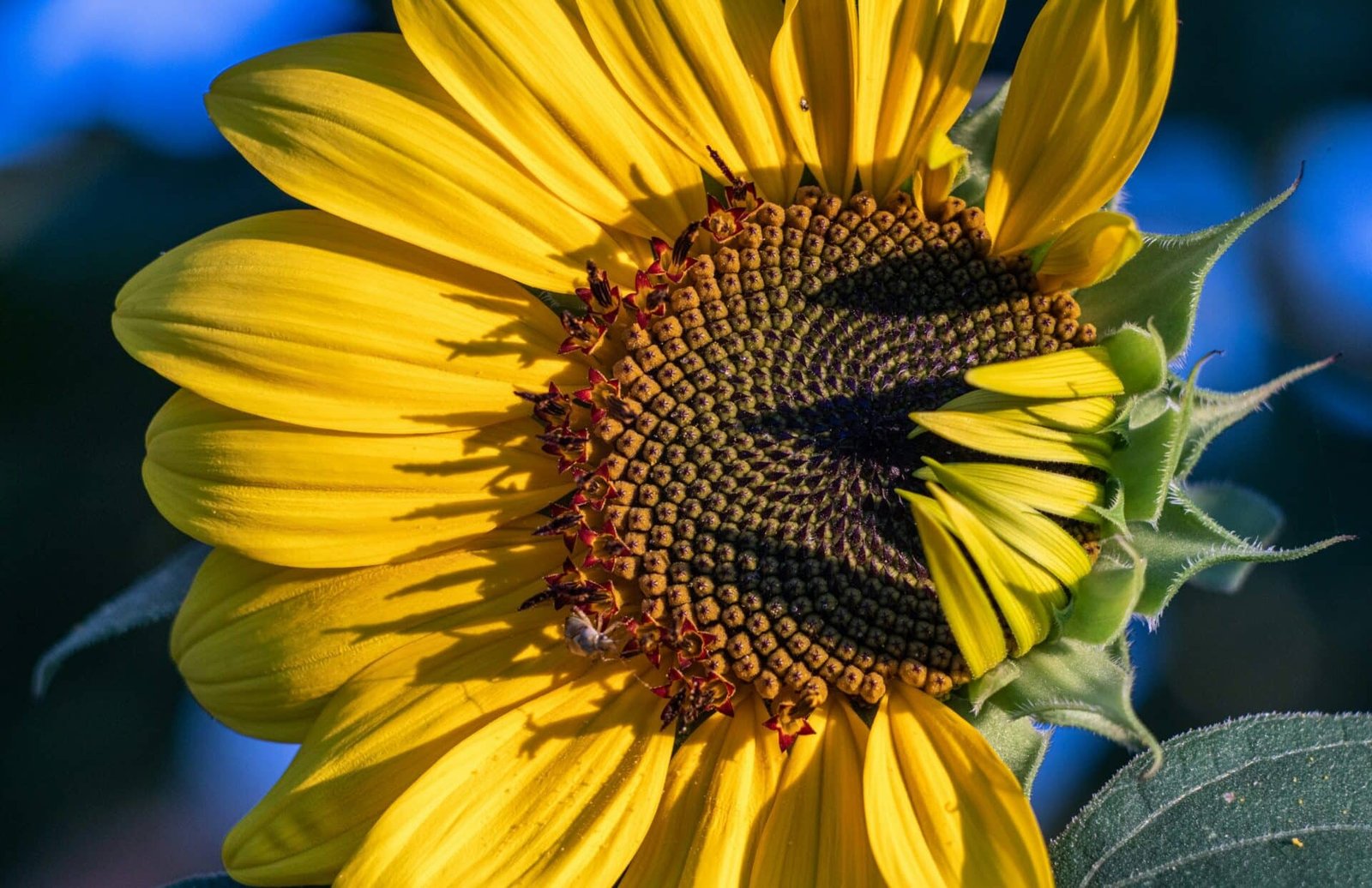 Margarine : comment faire le bon choix malgré ses avantages et ...