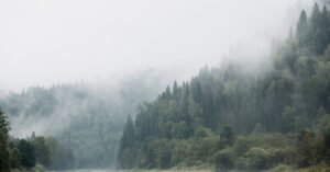 consultez la prévision météo pour planifier votre journée avec la météo actuelle, les températures, les conditions atmosphériques et les prévisions à venir.